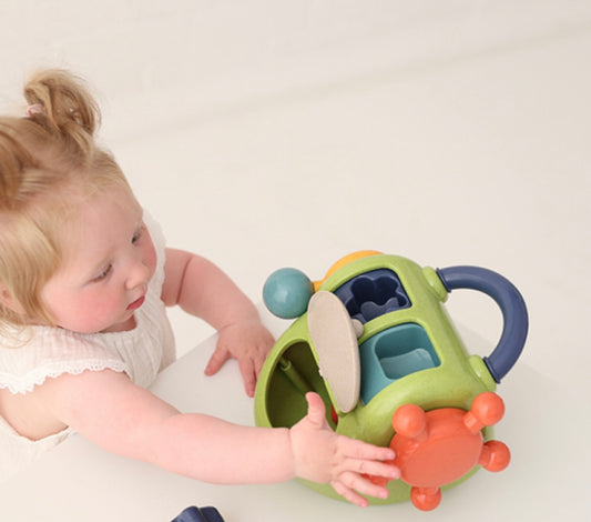 Scatola delle Meraviglie Bio Tolo