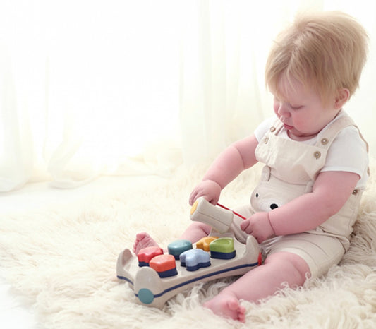 Piano di Lavoro con Martello Bio Tolo